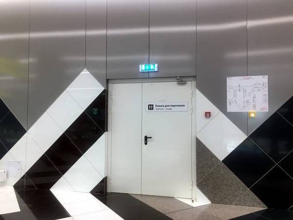 Полуторная огнестойкая дверь