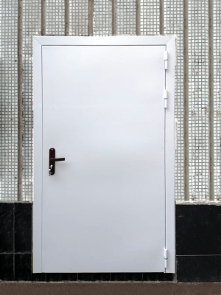 Нестандартная дверь (ул. Б. Переяславская, 50)